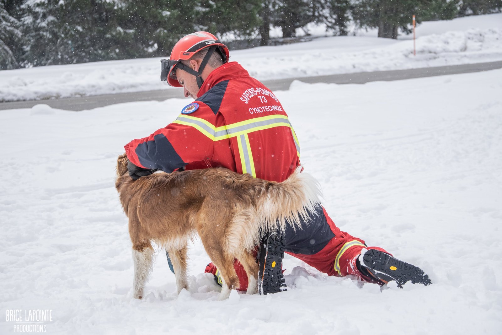 cynotechnical team of firefighters